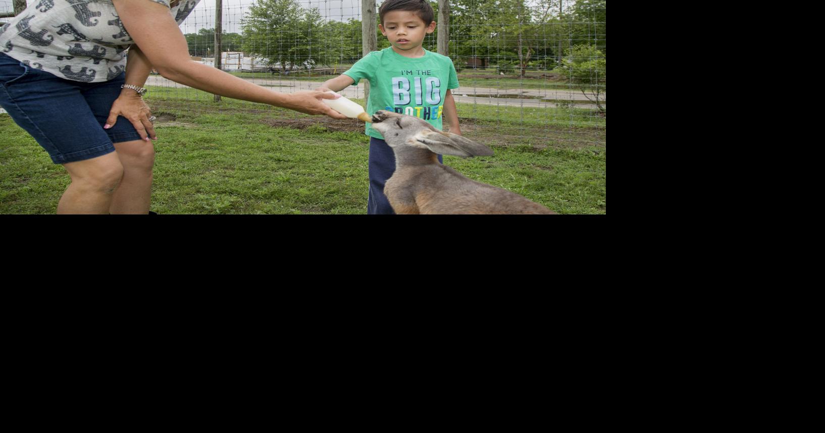 Reality show features family Local News