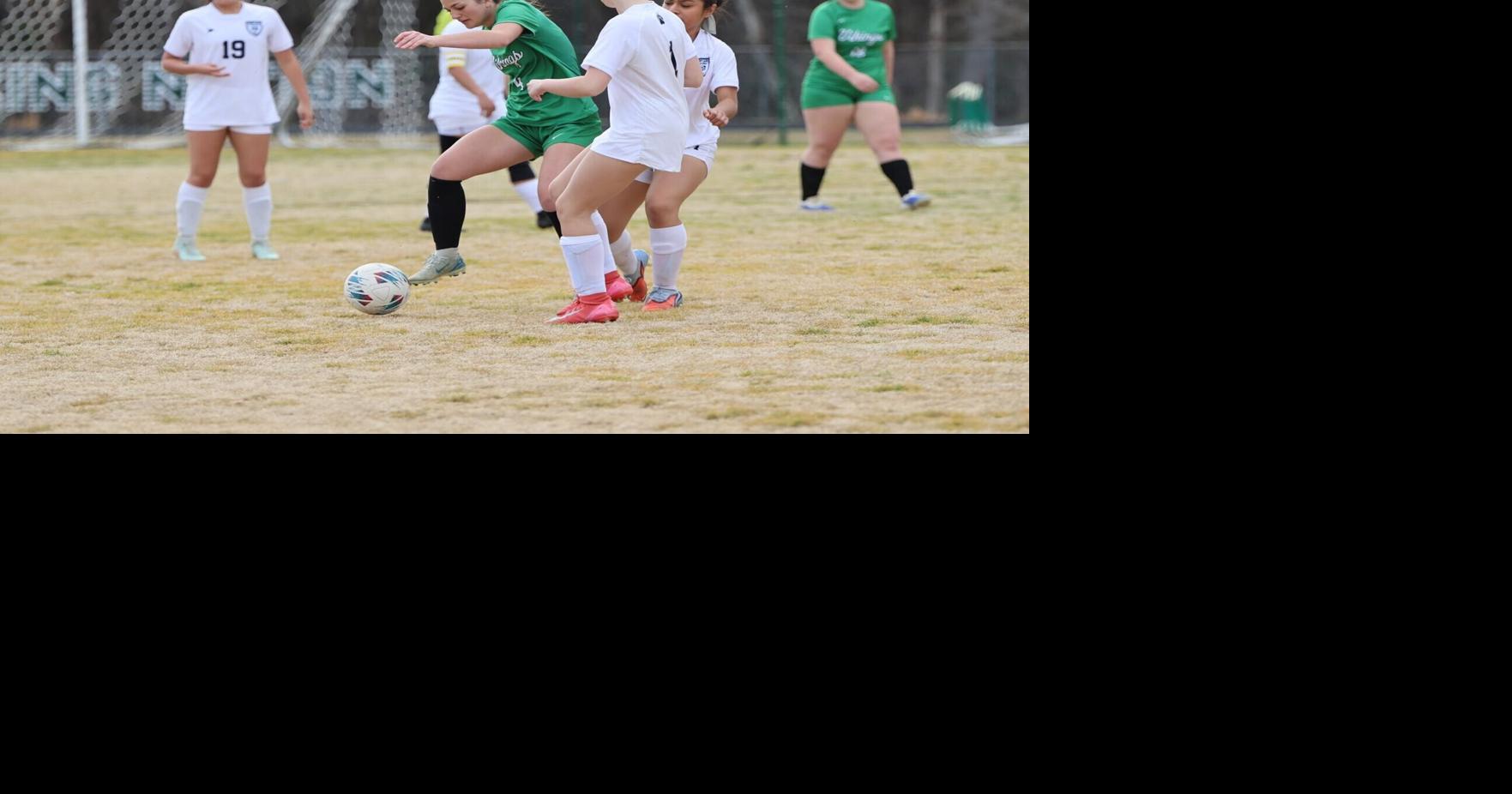 Stokes County girls' soccer standouts headline All-County team