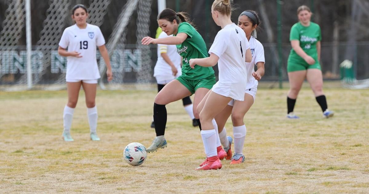 Stokes County girls' soccer standouts headline All-County team