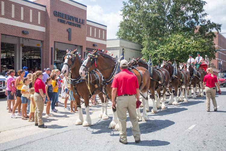 Bringing their "green" to Greenville Expert projects 4 million in