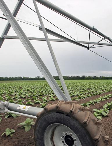 Farmers relieved by buyout news | Local News