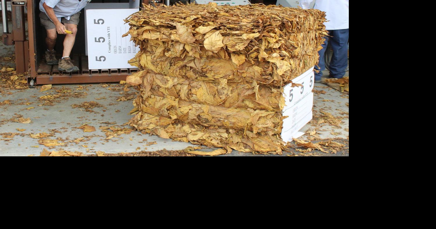 how to moisten dry tobacco Humidify his roller tobacco, tips and tricks