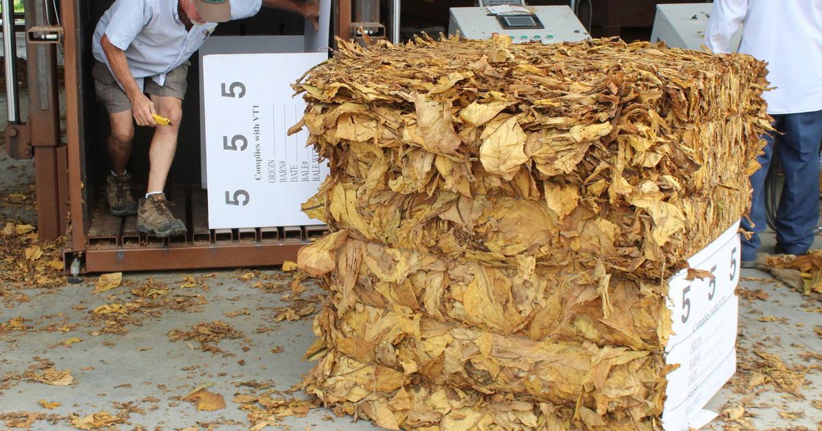 how to moisten dry tobacco Humidify his roller tobacco, tips and tricks how to moisten dry tobacco Humidify his roller tobacco, tips and tricks