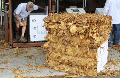 Tobacco markets open late | Local News