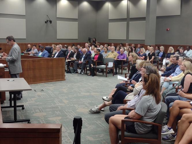 Tennis everyone? Crowd descends on Greenville council to decry loss of