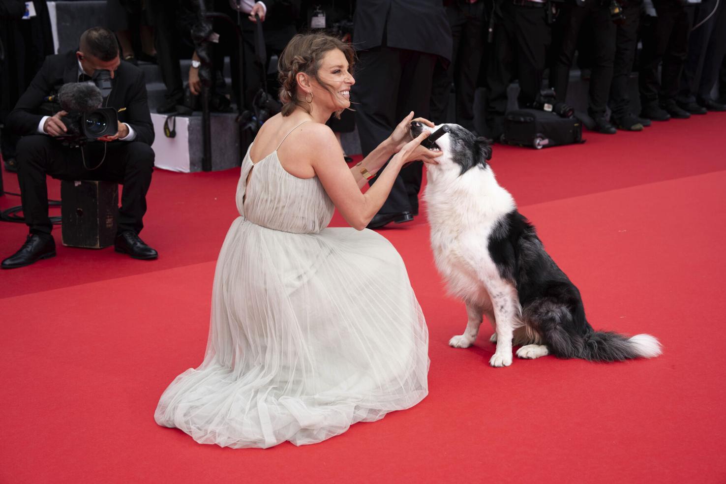 France Cannes 2024 Awards Ceremony Red Carpet World