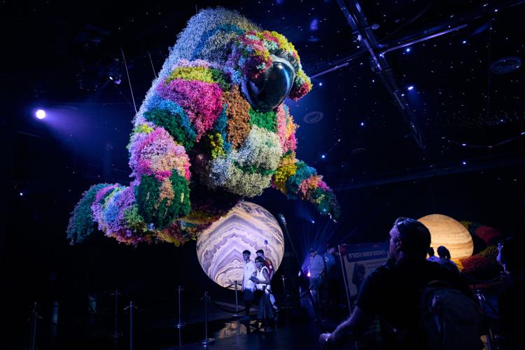 Flowers Create Elaborate Fantasy Worlds At A Tel Aviv Exhibition In flowers-create-elaborate-fantasy-worlds-at-a-tel-aviv-exhibition-in