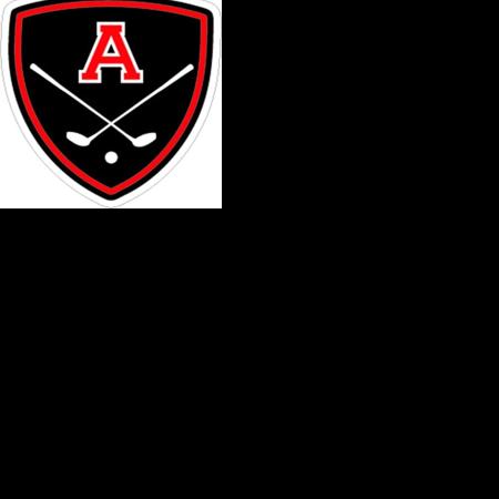 Avery duo competes at state golf tournament, Mitchell claims individual champ, team runner-up