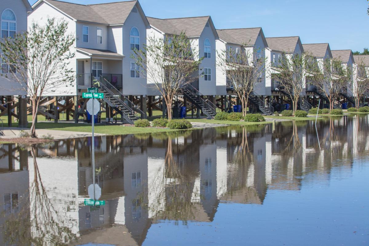 Evacuees Wait Out The Flood In Greenville Local News Reflector Com