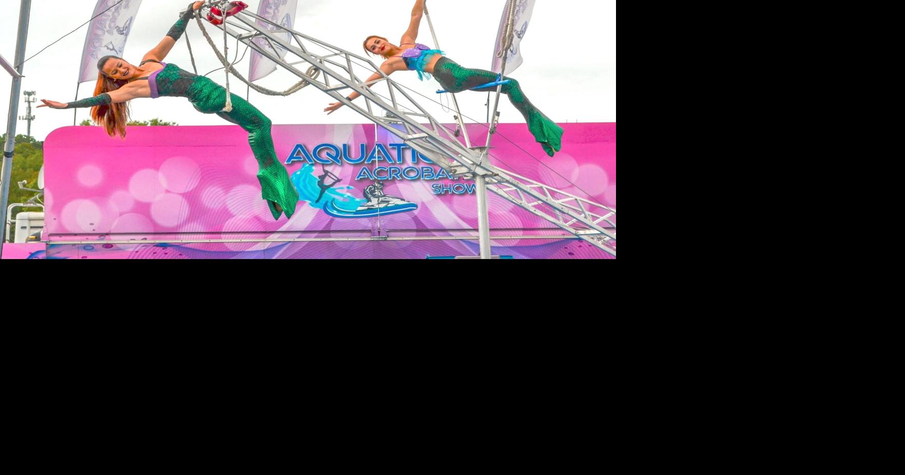 Making a splash: Aquatic Acrobatic Show returns for 103rd annual Pitt ...