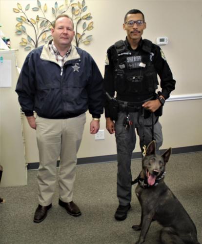 K9 deputy joins Greene County Sheriff's Office | News | reflector.com