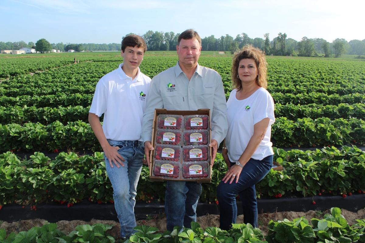 Cottle Farms named NC Agriculture Exporter of the Year Duplin Times