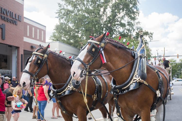 Bringing their "green" to Greenville Expert projects 4 million in