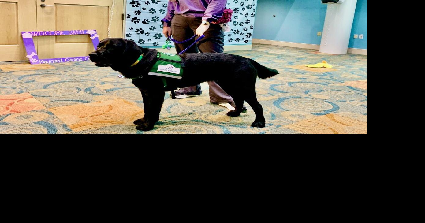 Maynard Children's Hospital employs facility dog Sam Local News