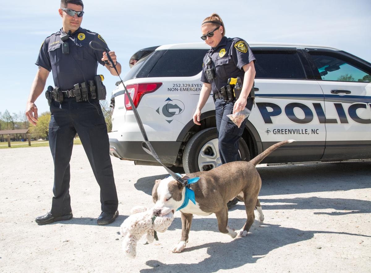 k 9s for a day protect and slurp