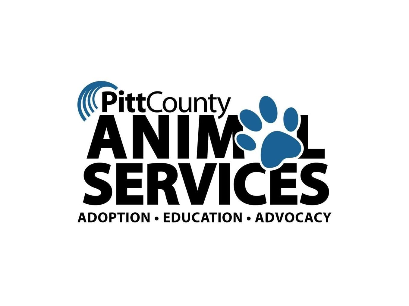 Ten animals in hoarding case adopted; others recovering at other ...