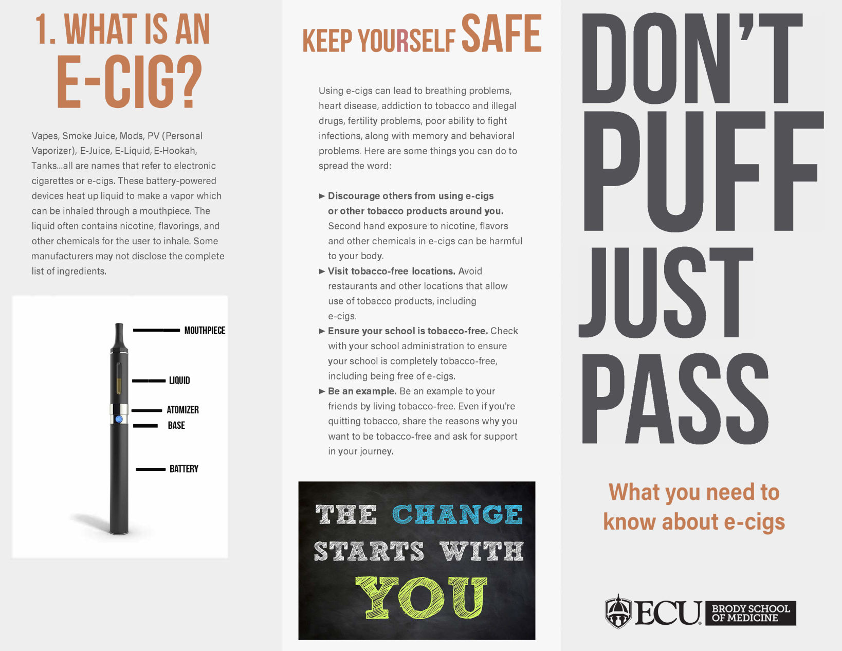 Student designed brochure outlines dangers of e cigs Local News