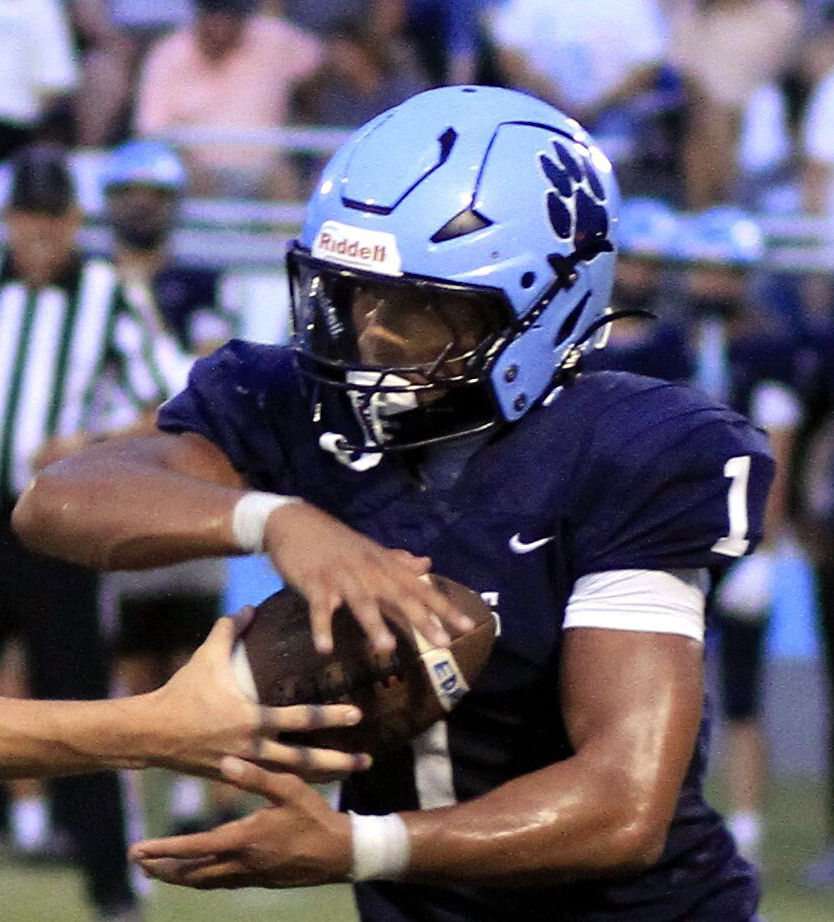 Prep football roundup: Panthers' McKinnie has stellar night | Sports ...