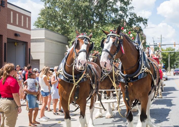 Bringing their "green" to Greenville Expert projects 4 million in