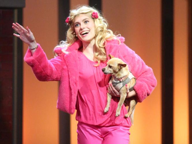 ECU's 'Legally Blonde' brings lots of pink (and two pups) to the stage | Local News | reflector.com ECU's 'Legally Blonde' brings lots of pink (and two pups) to the stage | Local News | reflector.com