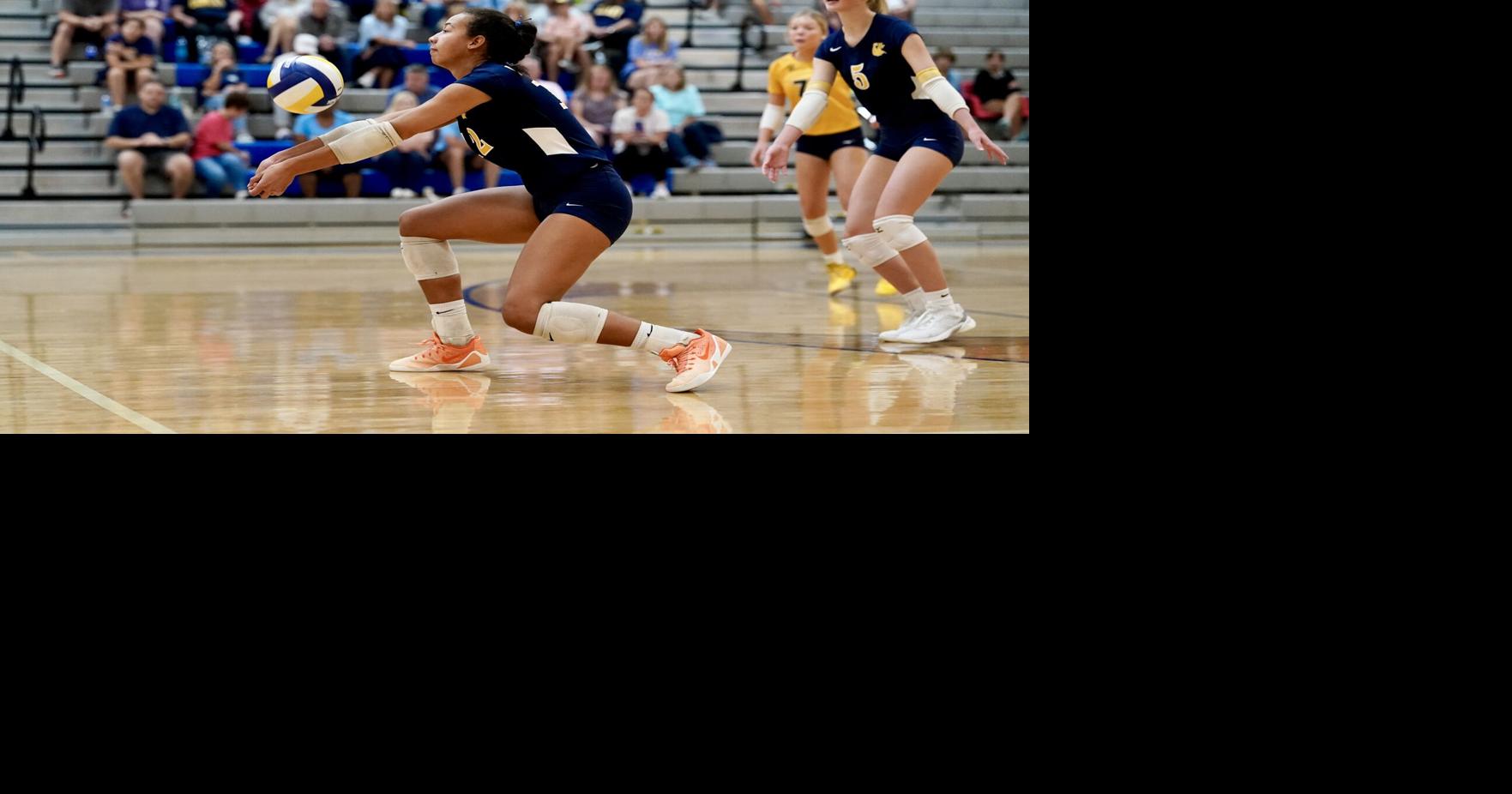 High school volleyball: Area's big 3 roll into fourth round of state ...