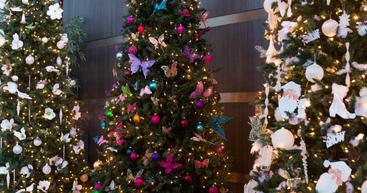 Festival of Trees: Annual event spotlights Family Support Network | Local News