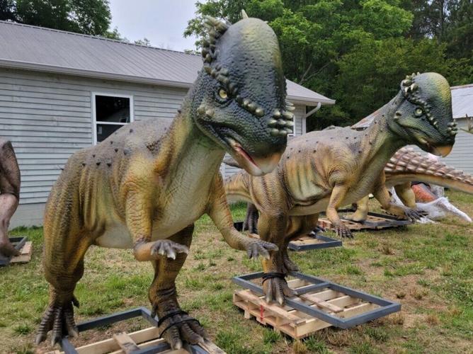 Grifton christmas parade 2025