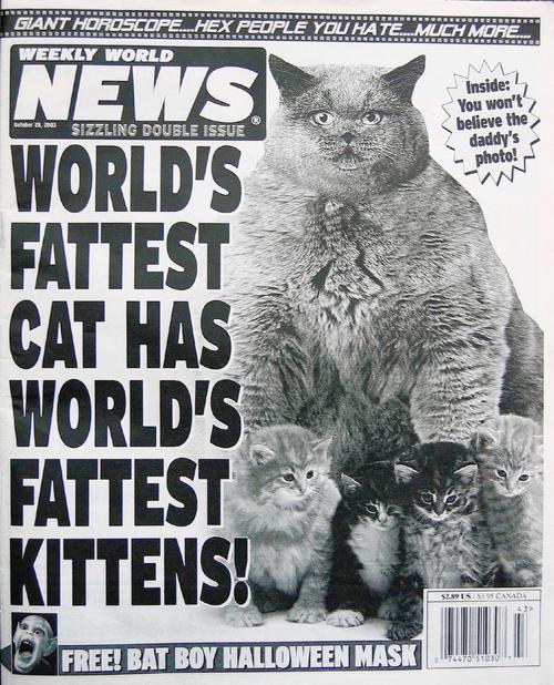 Storm Humble Tabloid Made Fake News A Glorious Enterprise Columnists Reflector Com