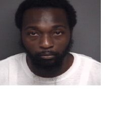 Greenville man arrested on weapons charges | Crime | reflector.com