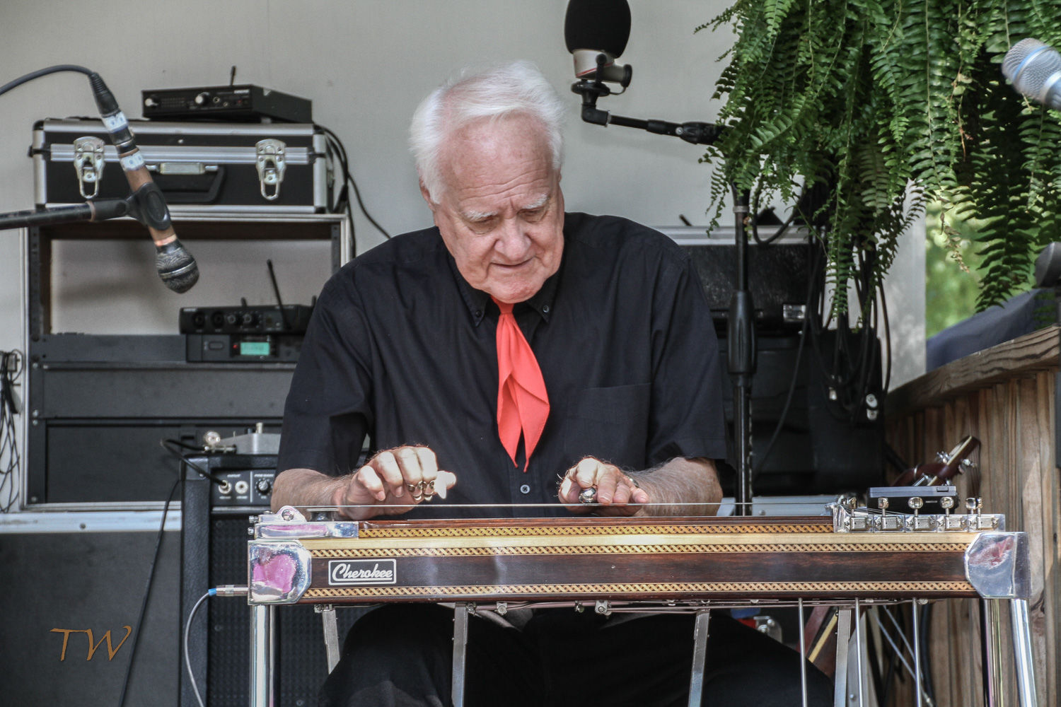 pedal steel christmas