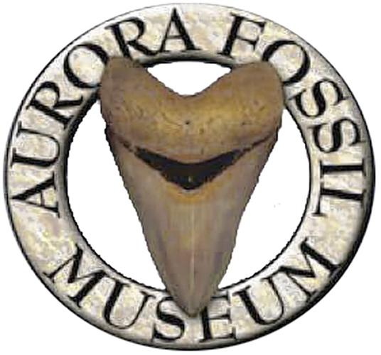 Aurora Fossil festival Feature Story