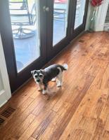 Automatic door opener...
