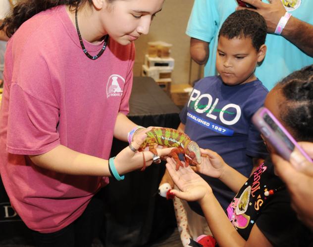 Scene Around the MidAtlantic Reptile Expo in Greenville Local News