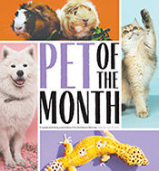 Pet of the Month 2022
