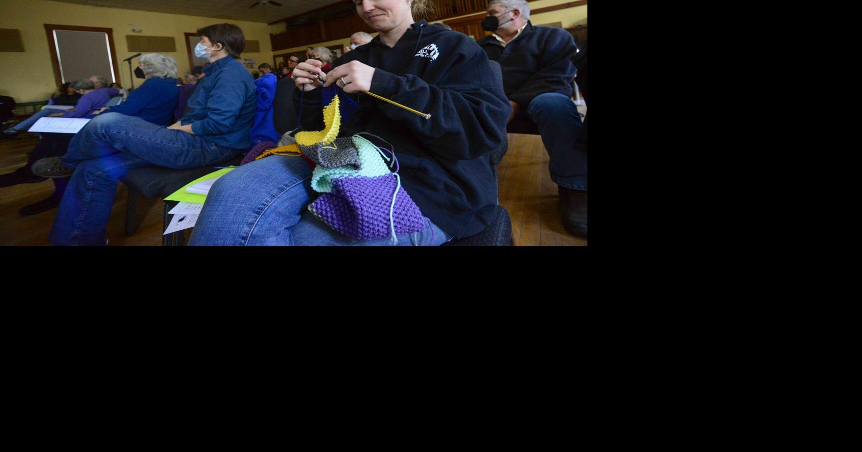 Newfane reelects incumbents, passes all articles Local News