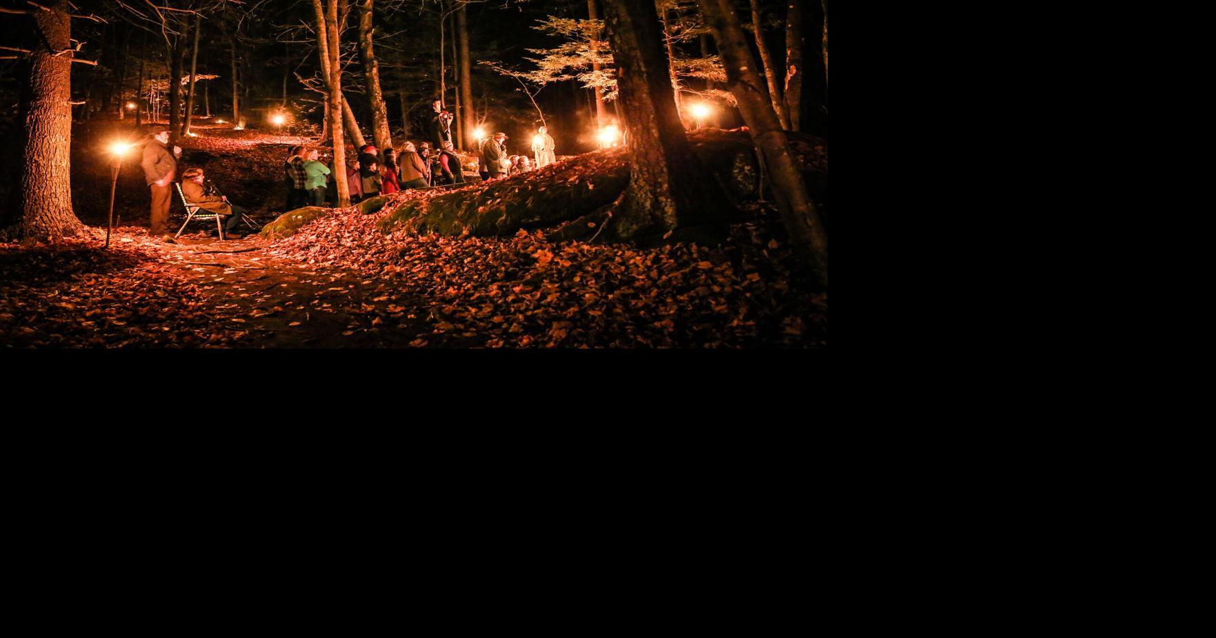 Forest of Mystery returns to BEEC, larger than ever