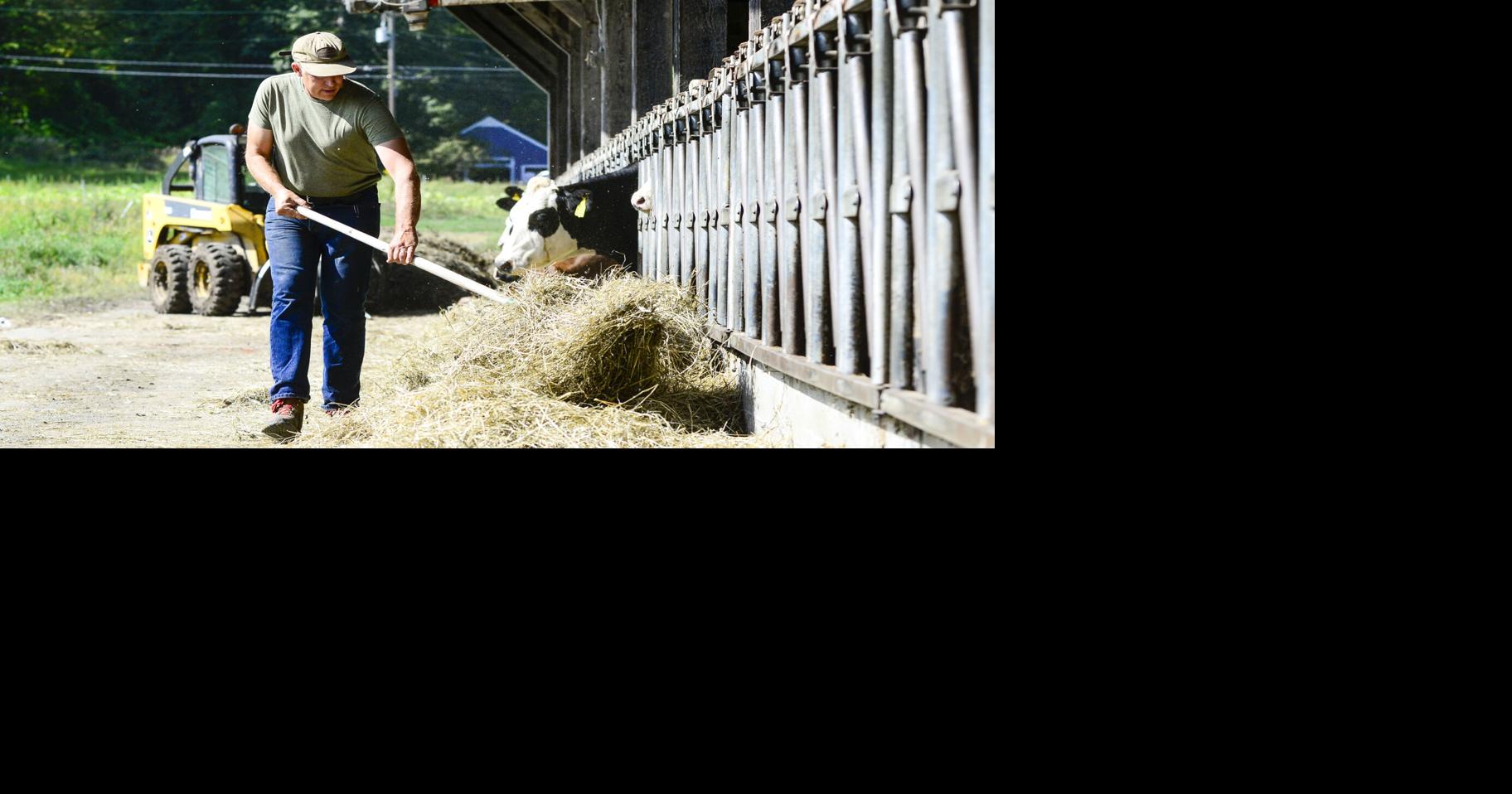 Drought persists in areas of Vermont: Those affected are encouraged to continue reporting impacts