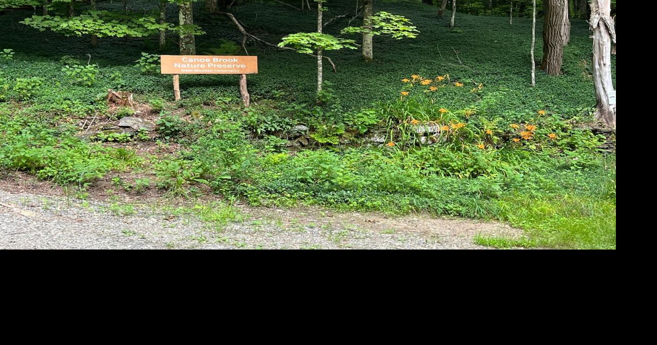 Green Mountain Conservancy invites the public to Canoe Brook Trail opening