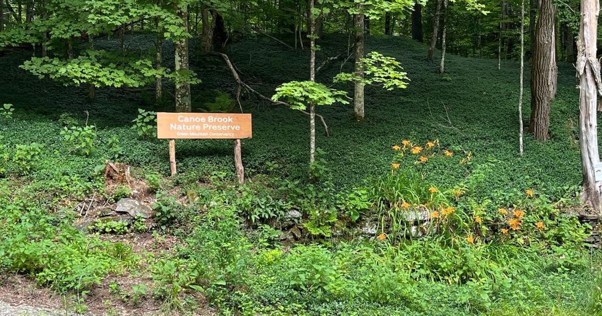 Green Mountain Conservancy invites the public to Canoe Brook Trail opening