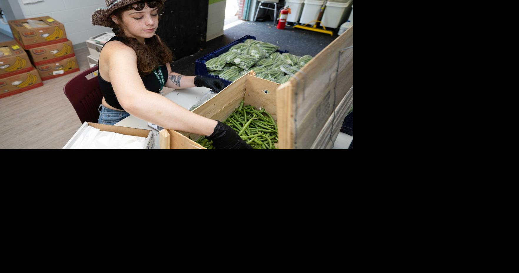 PHOTOS USDA Summer Food Program Multimedia
