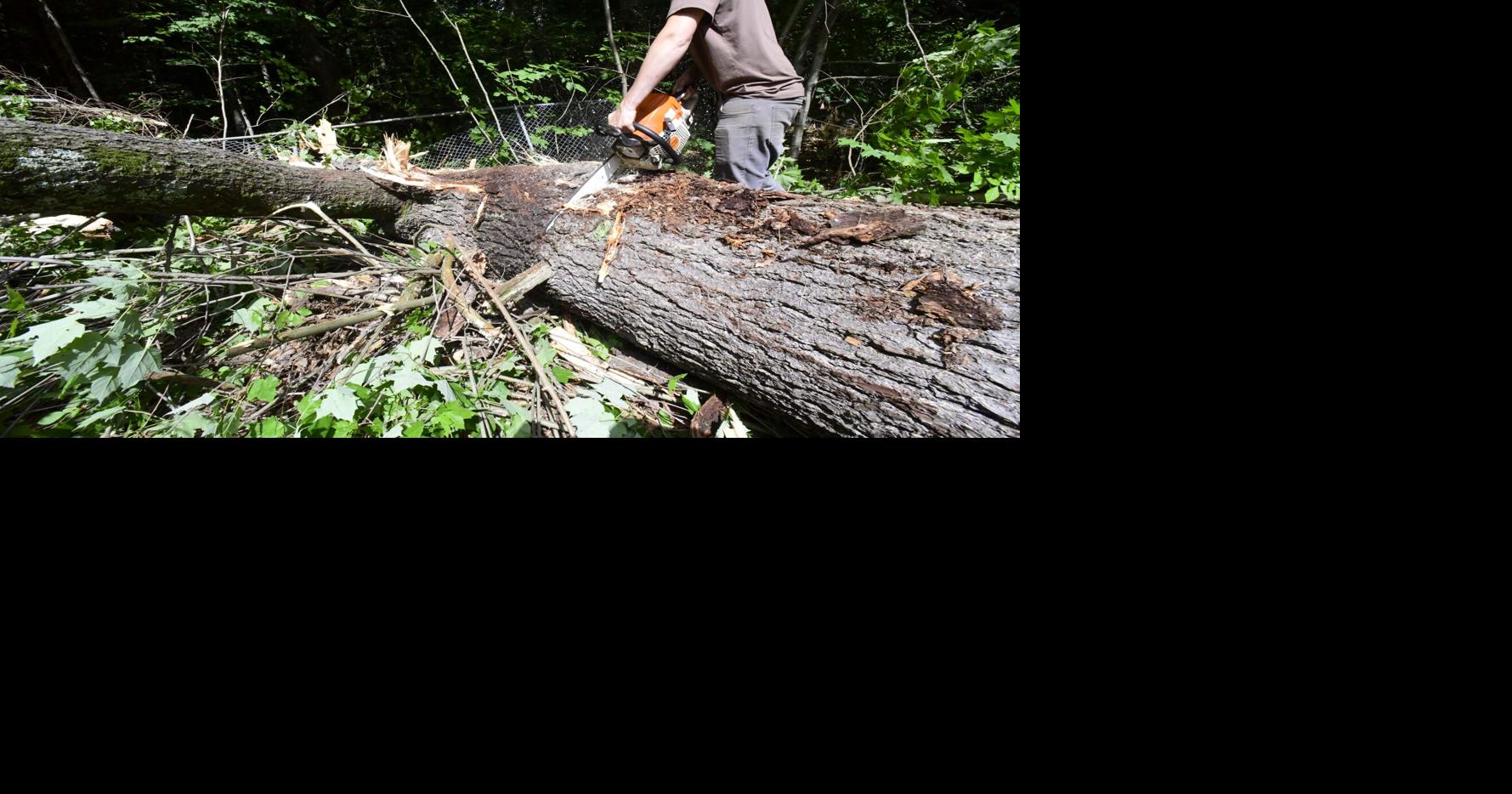 Cleaning up after Thursday's storm