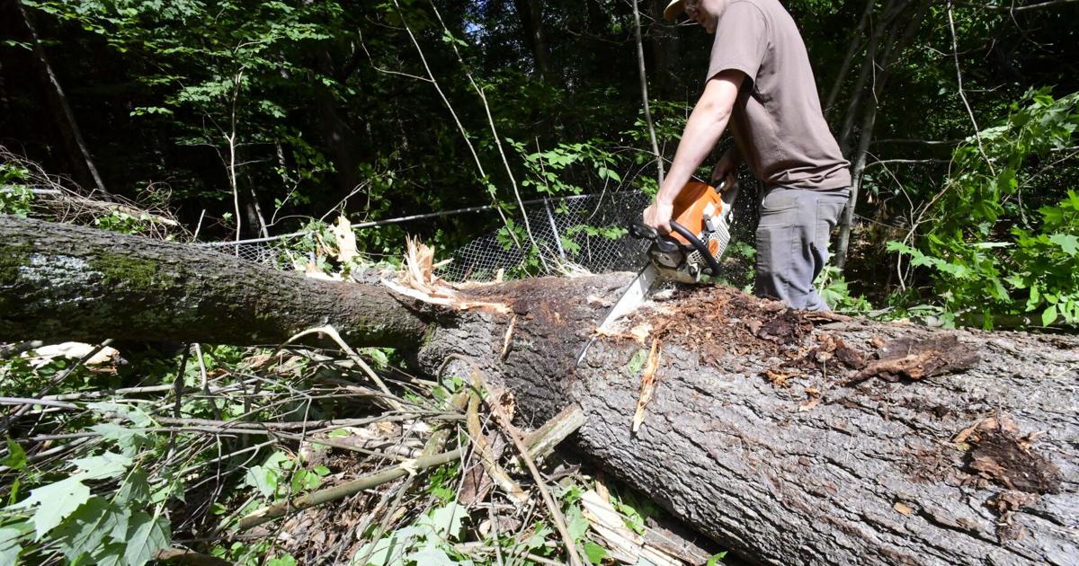Cleaning up after Thursday's storm