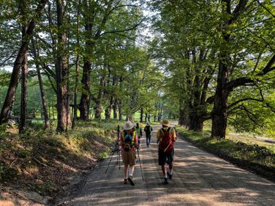 pilgrimage walks