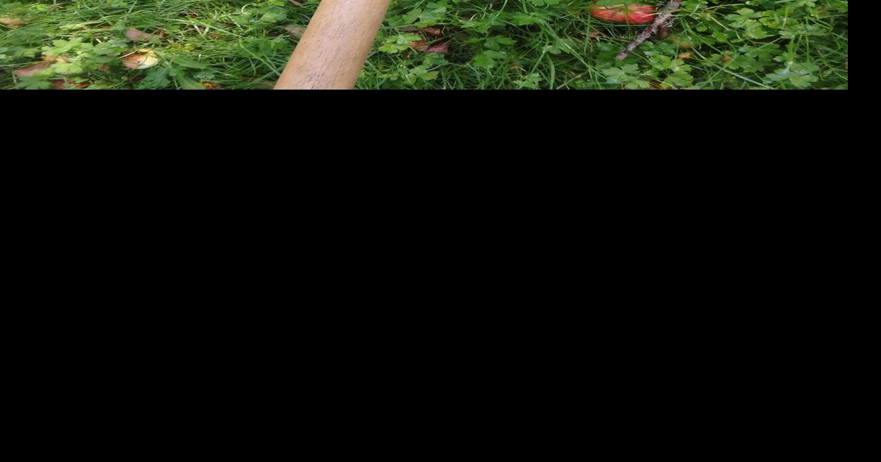 Note from the Garden by Henry Homeyer: Holiday gifts for the gardener