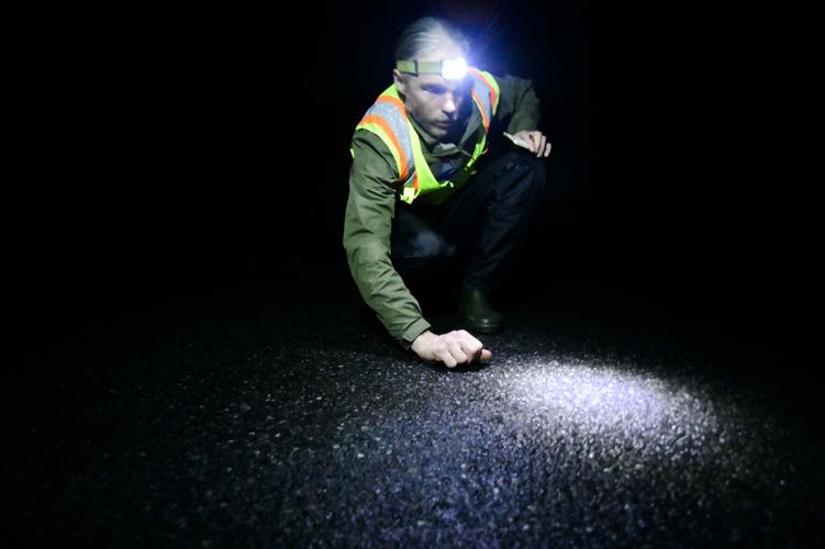 'Big Night': Salamanders on the move | Local News | reformer.com