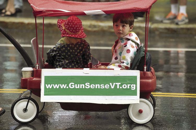 gun sense