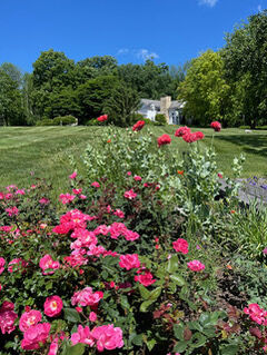 Northshire garden tour to benefit scholarship program