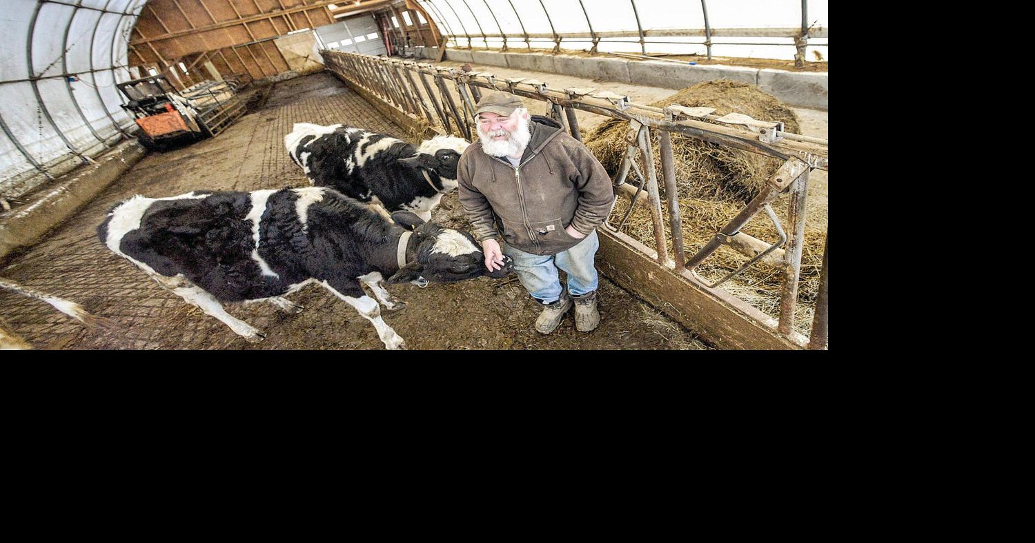 Struggling dairy farmers push for control of milk supply | State ...