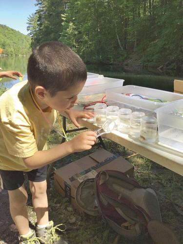 Experiential science learning with Four Winds Nature Program