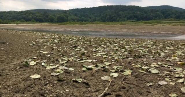 Connecticut River drawdown